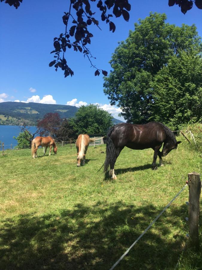 Villa Feichtingerhof Steinbach am Attersee Exterior foto